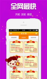 王中王251期指一生肖，深度解读与SEO优化策略，王中王251期生肖解读与SEO优化策略深度探讨