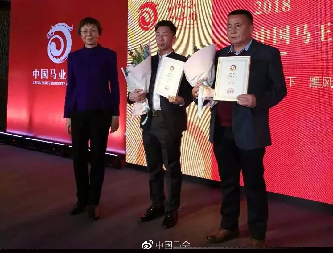特马王中王肖一马，探寻关键词背后的故事与奥秘，探寻关键词背后的故事与奥秘，特马王中王肖一马揭秘