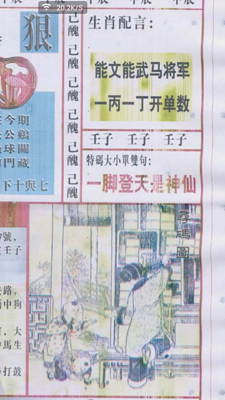 仍是王中王，揭秘生肖之谜，揭秘生肖之谜，王中王依旧传奇