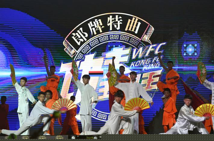 王中王一肖平特门图，探索关键词背后的故事与奥秘，王中王一肖平特门图，揭秘关键词背后的故事与奥秘