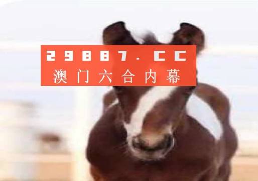 澳门一肖一码，揭秘预测准确率的秘密，澳门一肖一码揭秘，预测准确率的神秘面纱