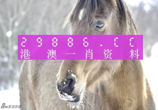 澳门一肖一码背后的故事，揭秘精准预测的神秘面纱，澳门一肖一码揭秘，精准预测背后的神秘故事