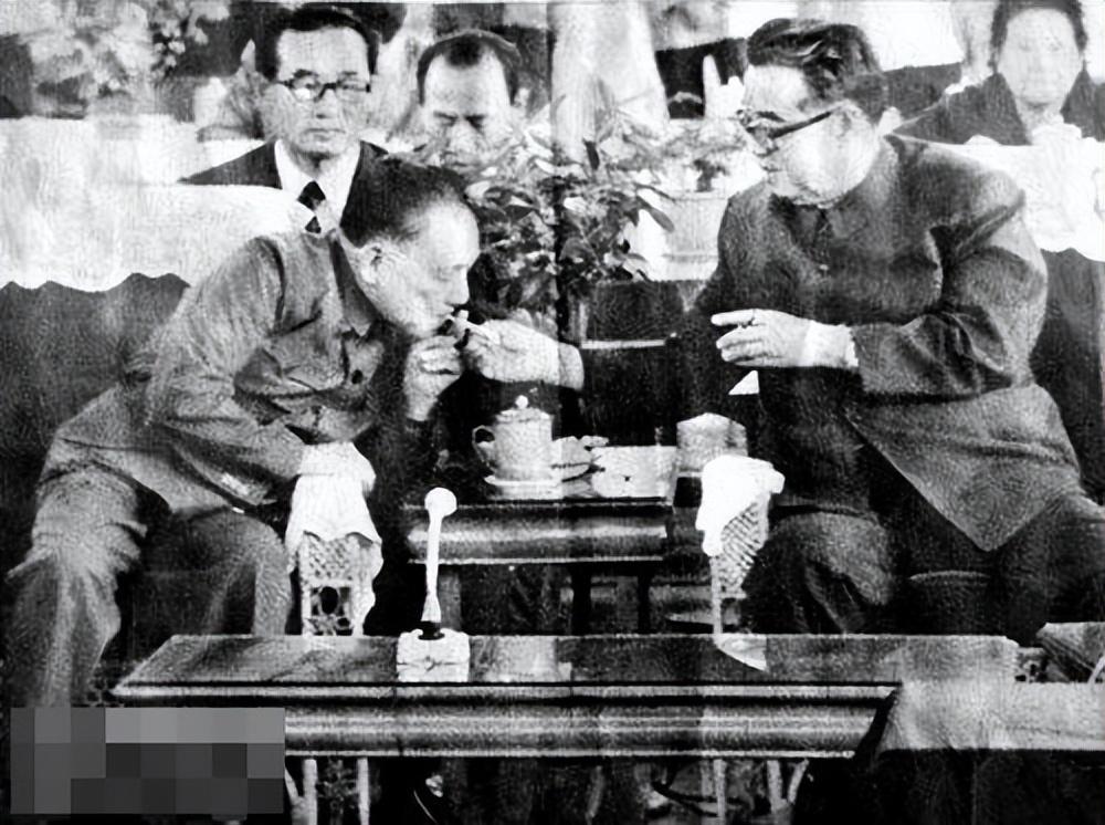 澳门今晚必开一肖82期，深度解析与预测，澳门82期生肖深度解析与预测，今晚必开一肖揭秘！