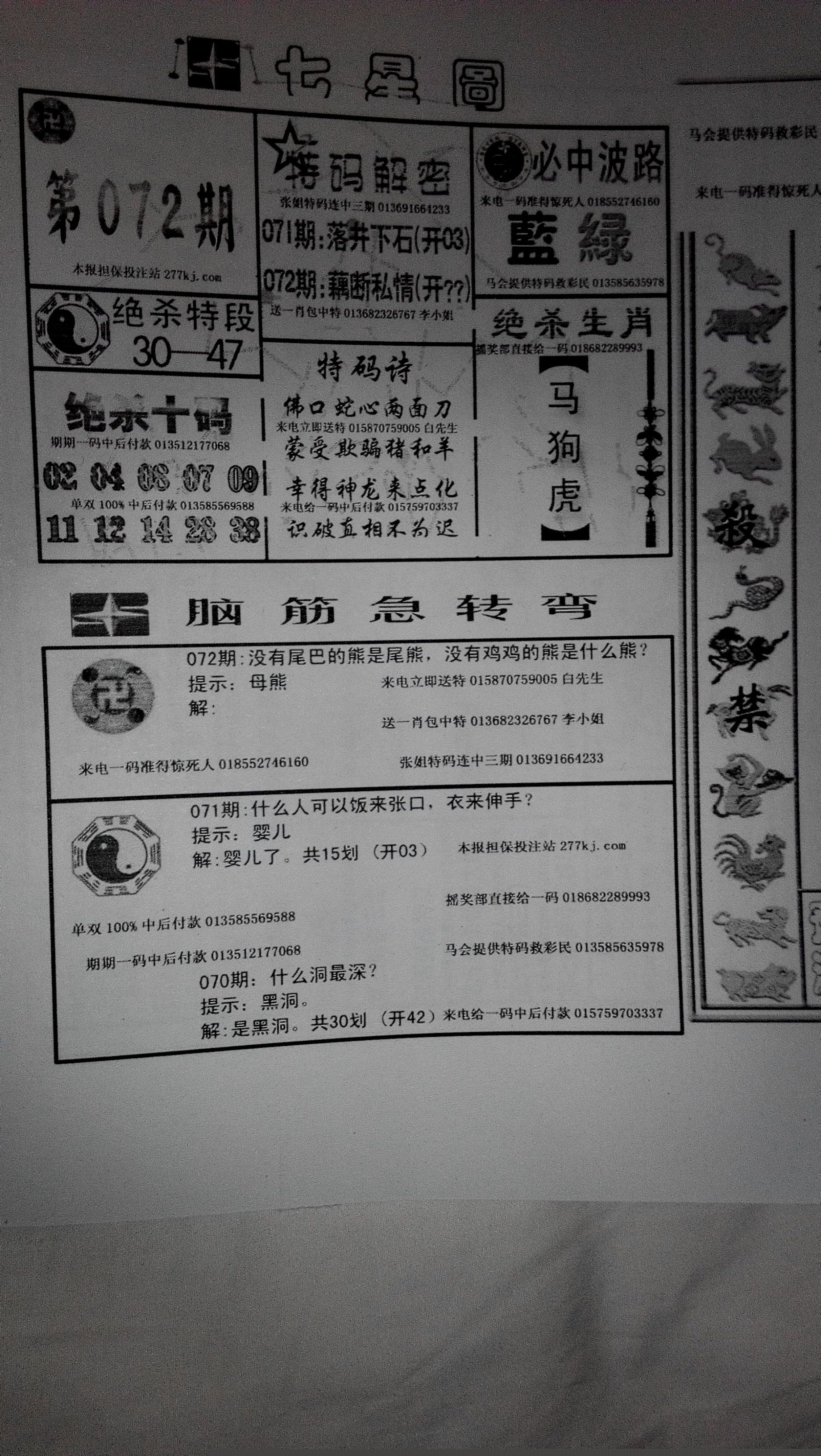 王中王029期指一生肖，深度解析与SEO优化策略，王中王029期生肖深度解析与SEO策略优化指南