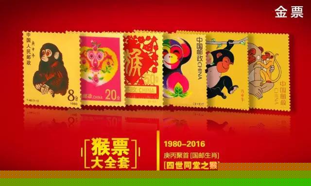 王中王211期指一生肖，深度解读与SEO优化策略，王中王211期生肖深度解读与SEO策略优化指南