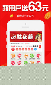 王中王与欲钱诗一肖，探寻神秘文化符号的背后，探寻神秘文化符号，王中王与欲钱诗一肖的背后含义