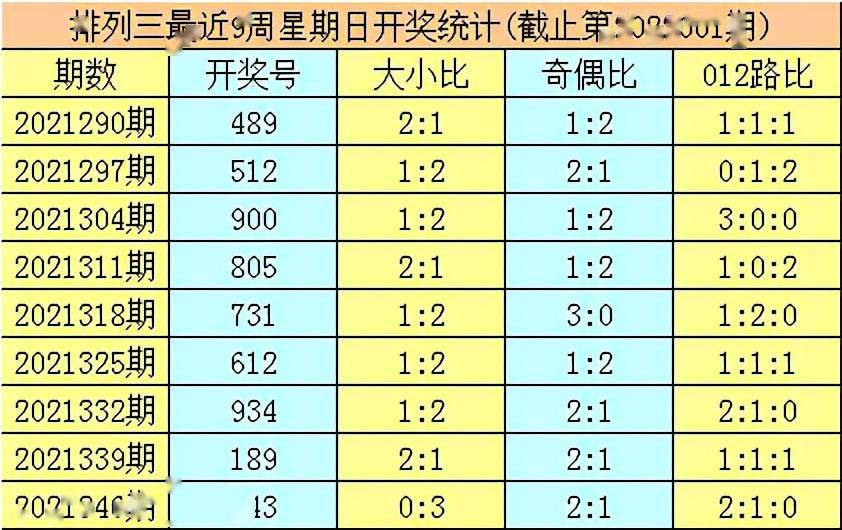 揭秘肖氏十码，解码背后的秘密，肖氏十码解码背后的秘密揭秘