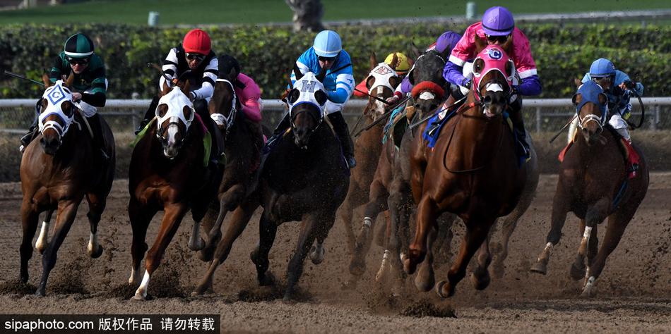 一肖一肖免费中特王中王——揭秘彩票预测真相与策略，揭秘彩票预测真相与策略，一肖一肖免费中特王中王揭秘彩票世界秘密