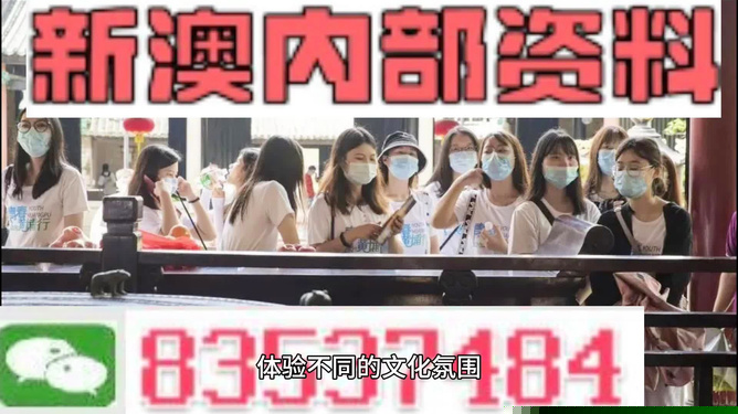新澳门最快开奖，探索现代博彩业的极速魅力，现代博彩业魅力揭秘，新澳门最快开奖的魅力所在