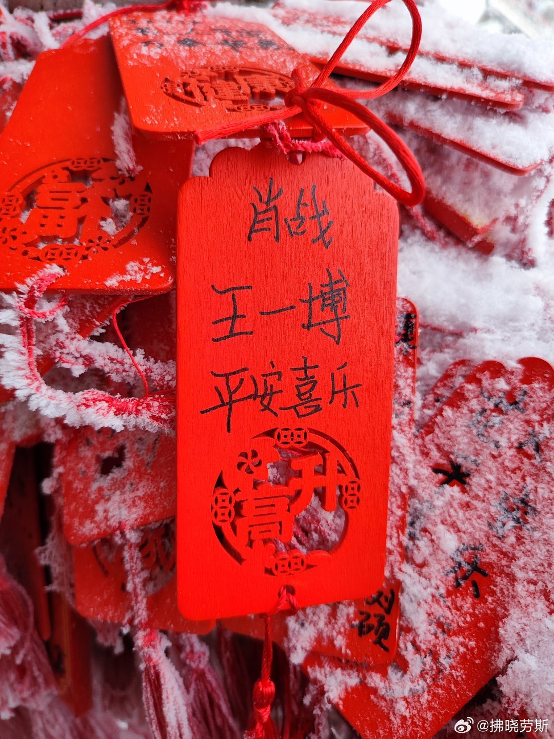 揭秘王中王平特一肖正版资料，探索背后的秘密与真相，揭秘王中王平特一肖正版资料，探索真相背后的秘密