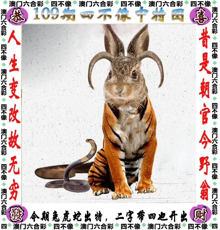 澳门一肖一码一待一中四不像——揭秘背后的秘密，澳门一肖一码背后的秘密揭秘