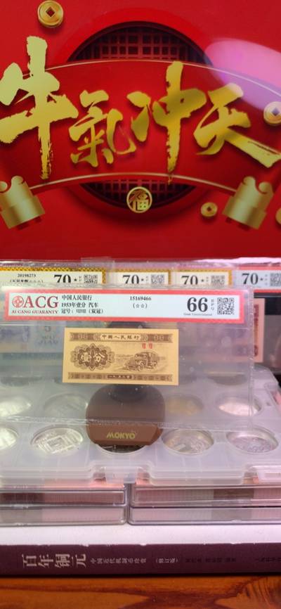 十二生肖王中王，揭秘生肖之王的神秘面纱，揭秘生肖之王，十二生肖王者之谜