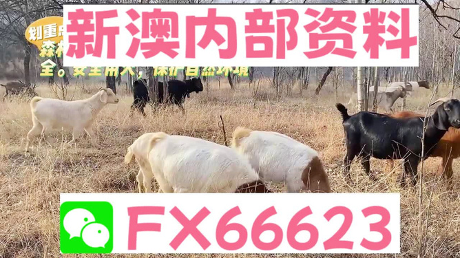 新澳2025今晚开奖资料四不像，揭秘彩票背后的秘密与策略分析，揭秘新澳彩票背后的秘密与策略分析，新澳2025今晚开奖资料四不像探讨