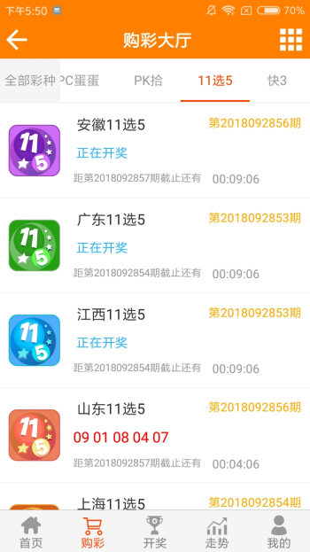 王中王一肖中特4487，探索关键词背后的故事，王中王一肖中特4487，揭秘关键词背后的故事