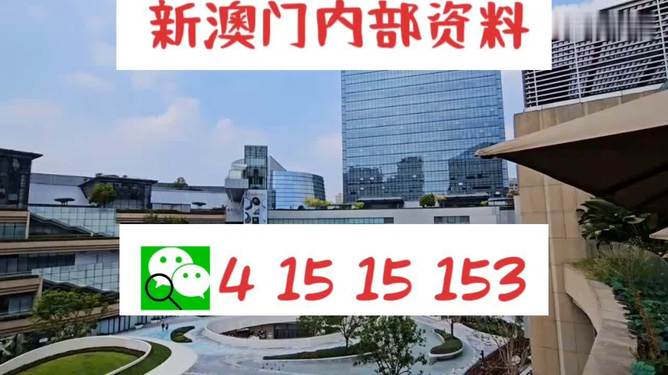 新澳门单双王，揭秘与探索，揭秘与探索，新澳门单双王之谜