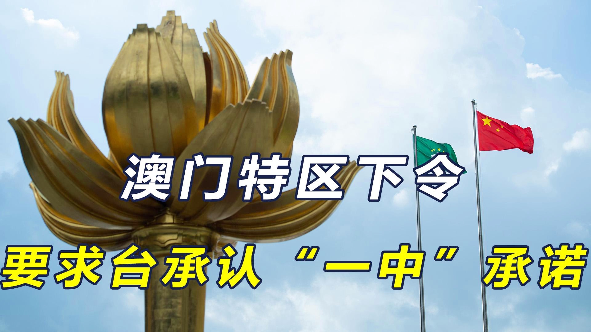 澳门一码一肖一恃一中，揭秘彩票背后的秘密与策略分析（第312期深度解读），澳门彩票第312期深度解读，揭秘一码一肖一恃一中背后的秘密与策略分析
