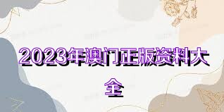 澳门资料大全正版免费，探索澳门，预见未来的精彩瞬间（2025版），澳门未来精彩瞬间探索指南，正版资料大全（澳门探索2025版）