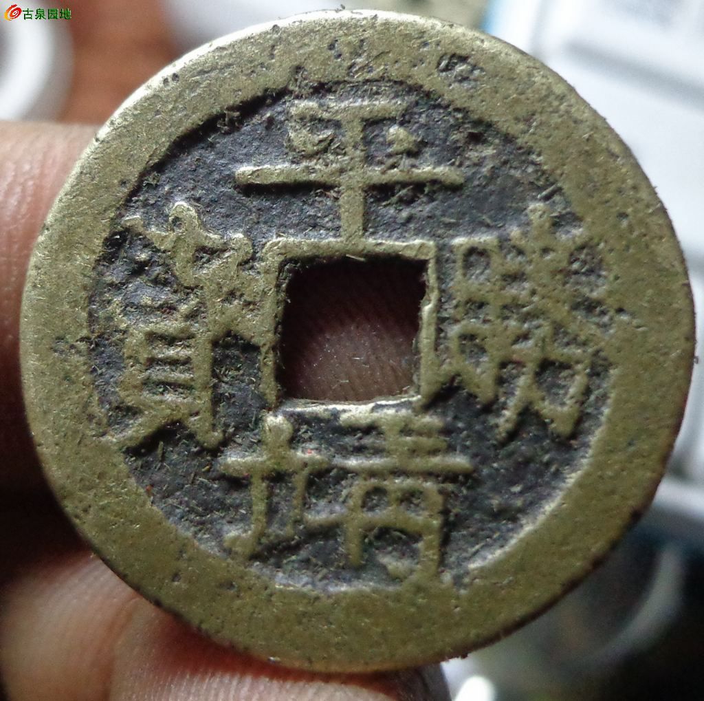王中王平特一肖全年无错，揭秘背后的秘密与策略，揭秘王中王平特一肖全年无错的秘密与策略