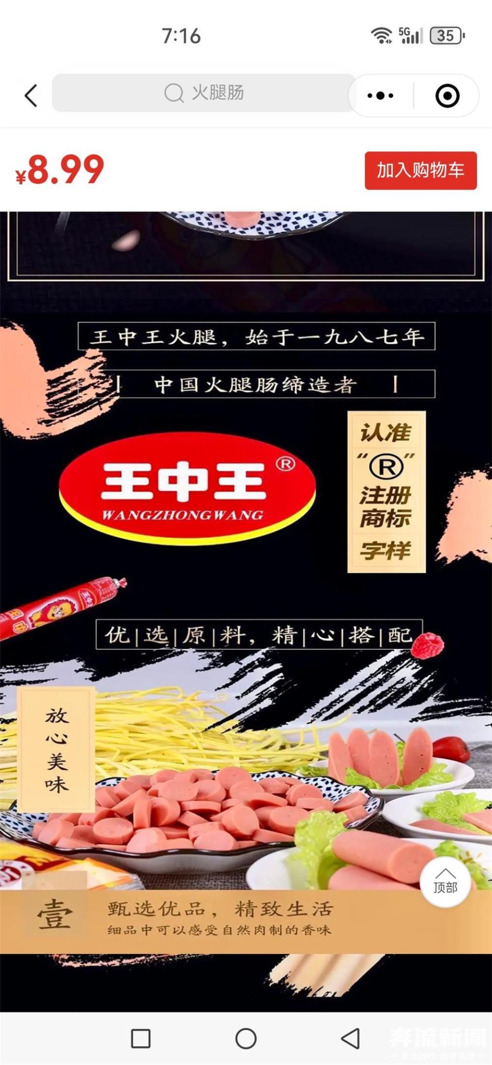 王中王论一肖三码是什么，深度解析与探讨，王中王论一肖三码深度解析与探讨