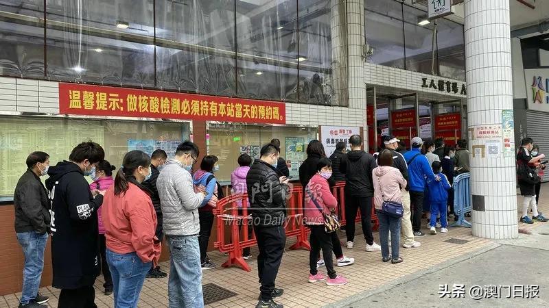 新澳门内部十码中特，探索与解析，新澳门内部十码中特，深度探索与解析
