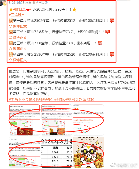 香港一肖准王中王，揭秘预测背后的秘密，揭秘香港一肖准王中王的预测秘密