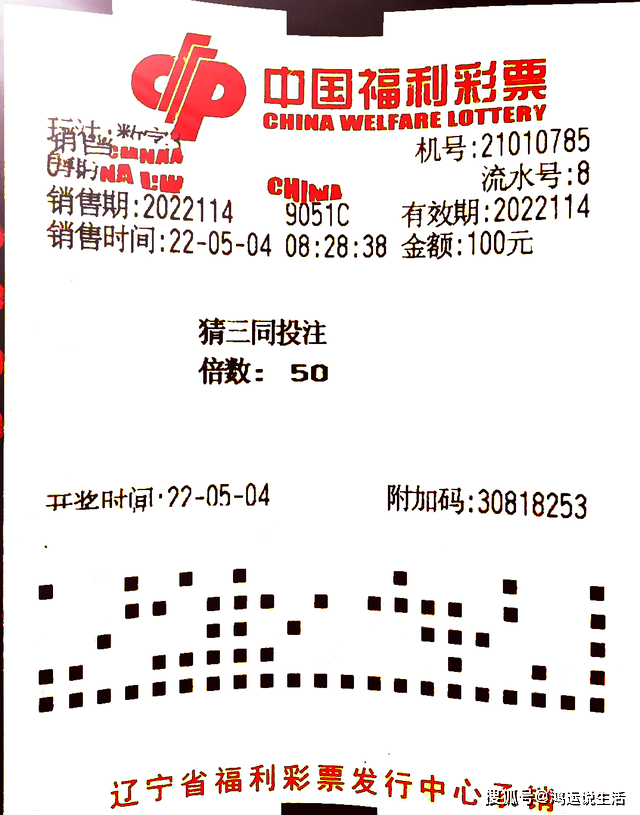 王中王平特一肖期期公开的奥秘与SEO洞察，王中王平特一肖期期公开背后的奥秘与SEO洞察揭秘