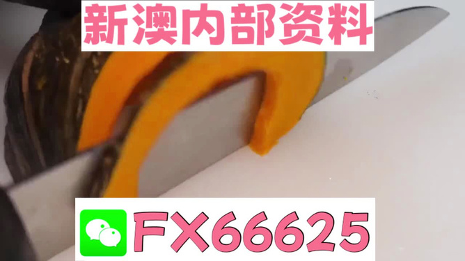 澳门管家婆精准预测——揭秘成功的秘密，澳门管家婆精准预测，成功秘诀大揭秘
