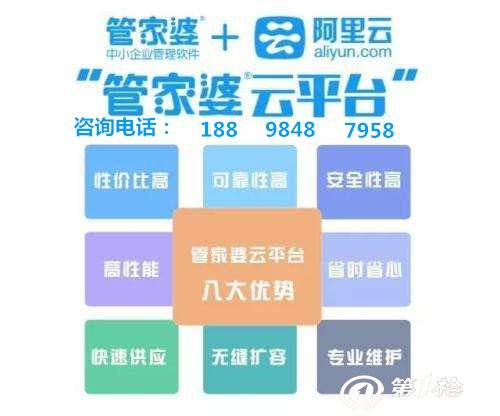 揭秘管家婆王中王一肖中特的神秘面纱，探寻背后的故事与SEO优化策略，揭秘管家婆王中王一肖中特的背后故事，神秘面纱下的SEO优化策略探索