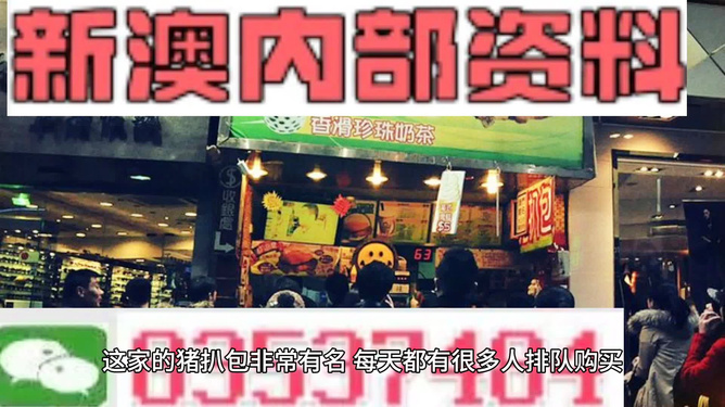新澳天天开彩资料大全，全面解析与SEO优化策略，新澳天天开彩资料大全及全面解析与SEO优化策略指南