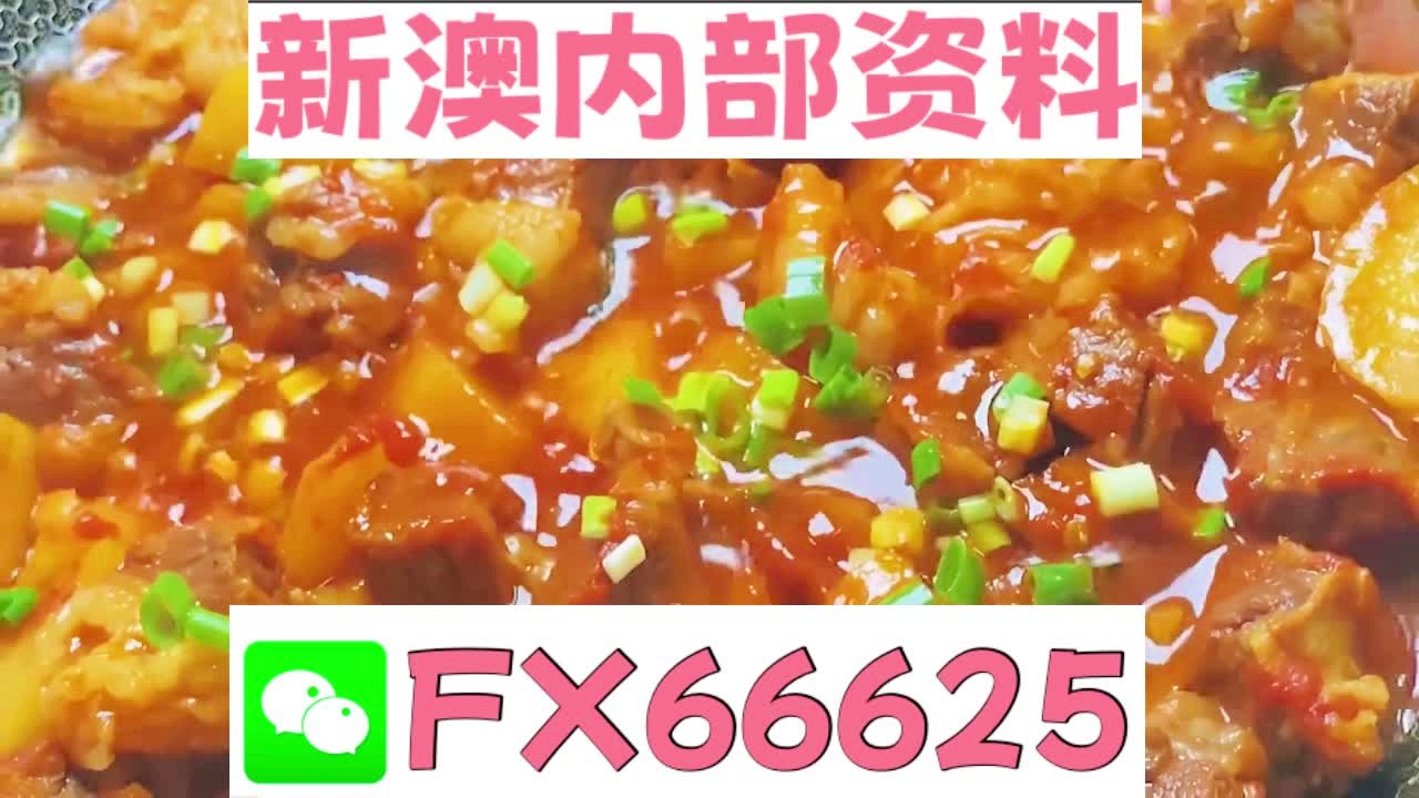 新奥2025正版资料大全，全面解析与获取指南，新奥2025正版资料大全，全面解析及获取指南
