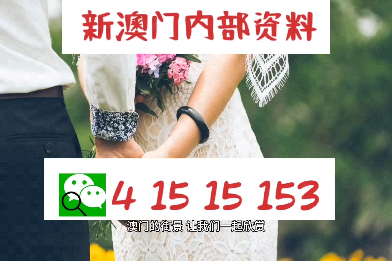 新澳平码出码公式，揭秘背后的秘密与策略，揭秘新澳平码出码公式，背后的秘密与策略解析