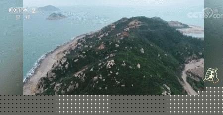 澳门正版挂牌图，探索未来的精准预测与免费资源，澳门正版挂牌图，未来精准预测与免费资源探索