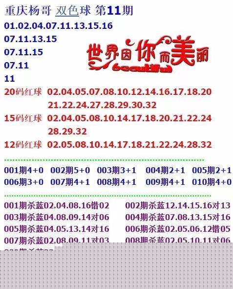 新门内部免费资料大全——探索无尽知识宝库，新门内部知识宝库，免费资料大全，无尽探索之旅