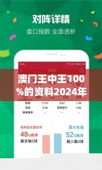 香港王中王网站中特，探索其独特魅力与SEO优化策略，香港王中王网站独特魅力与SEO优化策略探索