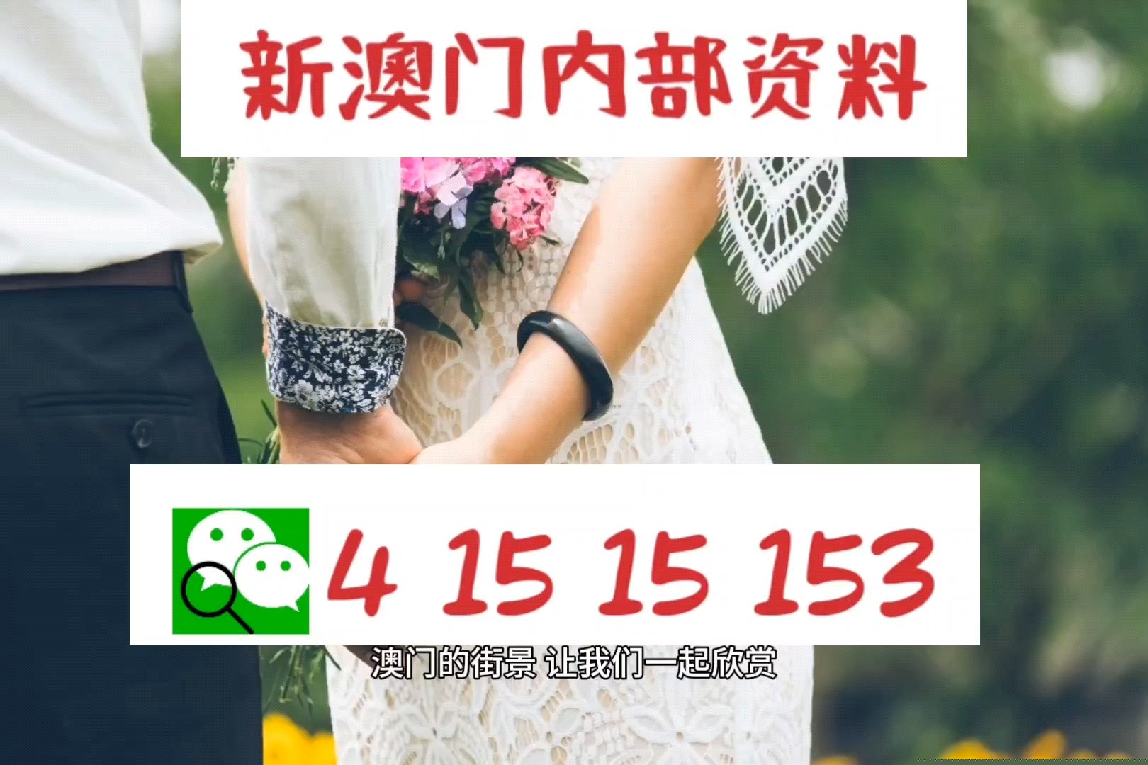 新澳平码出码公式，揭秘背后的秘密与策略，揭秘新澳平码出码公式，背后的秘密与策略解析