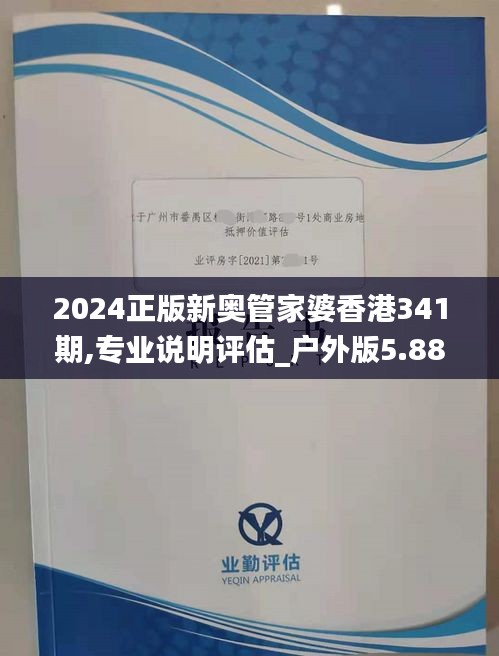 未来展望（2025年）