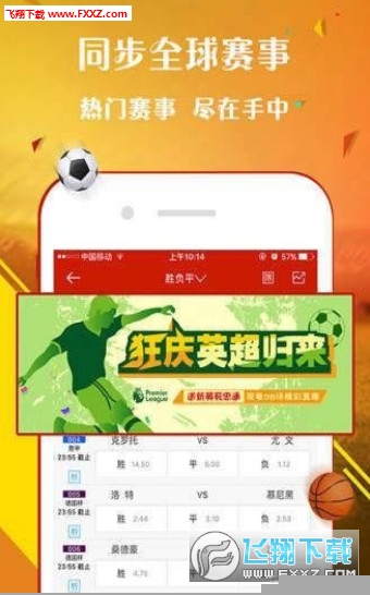 王中王一肖，探索数字时代的独特魅力与机遇，王中王一肖，数字时代的魅力与机遇探索