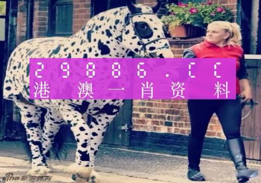香港王中王一肖中特论坛——深度解析与探讨，香港王中王一肖中特论坛深度探讨与解析