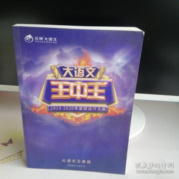 揭秘2019王中王一肖，全方位解读他的成功之路，揭秘王中王一肖的成功之路，全方位解读其背后的故事