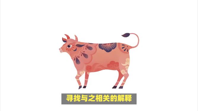 一肖不像必中，揭秘彩票背后的秘密与策略，彩票背后的秘密与策略揭秘，一肖不像也能中奖的真相